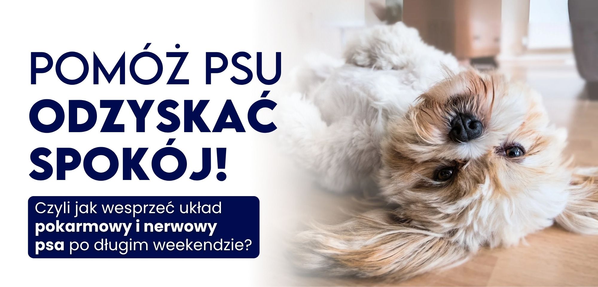 Naturalny duet dla zdrowia i odporności - Blog Baltica